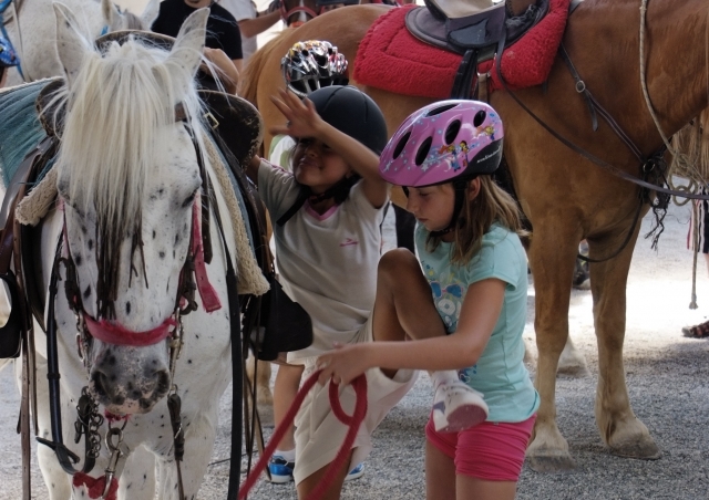 Subiendo al caballo